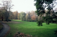 Light in the garden
