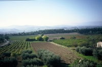 A house with a view in Provence