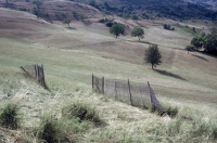 Landscape near Les Talons