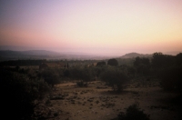  The view by dawn